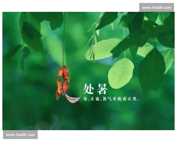 处暑时节万物渐收凉意渐浓探寻初秋自然变迁与人间风情